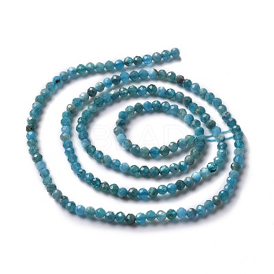 Natural Apatite Beads Strands LS-G-E411-36-2mm-01-1
