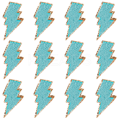12Pcs Computerized Embroidery Cloth Self Adhesive Patches PATC-GF0001-57B-1