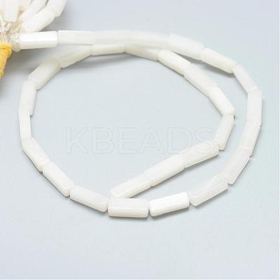 Natural White Jade Bead Strands G-R299-20-1