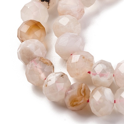 Natural Cherry Blossom Agate Beads Strands G-K380-A43-03-1