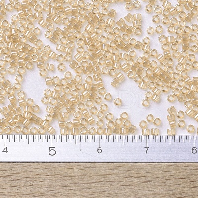 MIYUKI Delica Beads SEED-X0054-DB0101-1