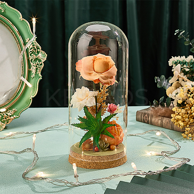 1Pc Glass Dome Cover AJEW-BC0009-61-1
