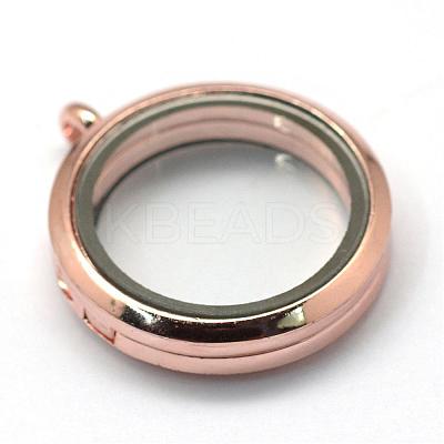 Flat Round Alloy Glass Magnetic Photo Frame Living Memory Floating Locket Pendants PALLOY-S046-01RG-1