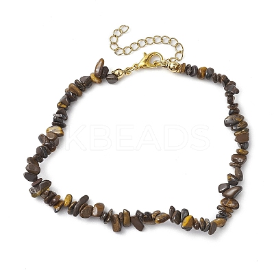 Natural Tiger Eye Anklets AJEW-AN00592-03-1
