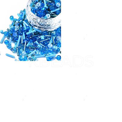 100G Glass Seed Beads SEED-SZ0001-027B-1