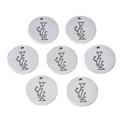 Non-Tarnish 304 Stainless Steel Charms LS-STAS-T059-26P-I-1