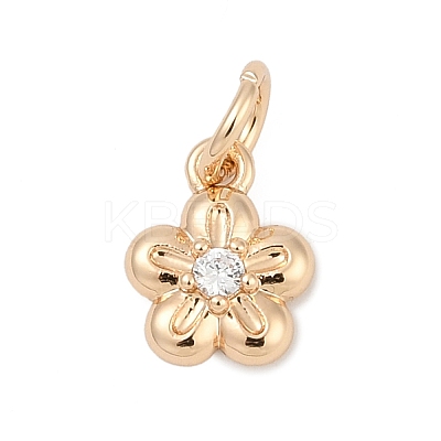 Brass Micro Pave Cubic Zirconia Charms LS-KK-Q096-03B-G-1