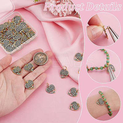 60Pcs Tibetan Style Alloy Pendants FIND-PH0024-06-1