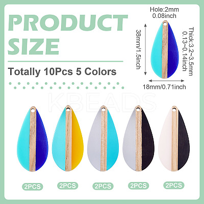 10Pcs 5 Colors Transparent & Opaque Resin & Wood Pendants RESI-TA0004-65-1