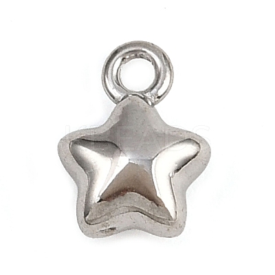 304 Stainless Steel Charms STAS-C140-01H-P-1