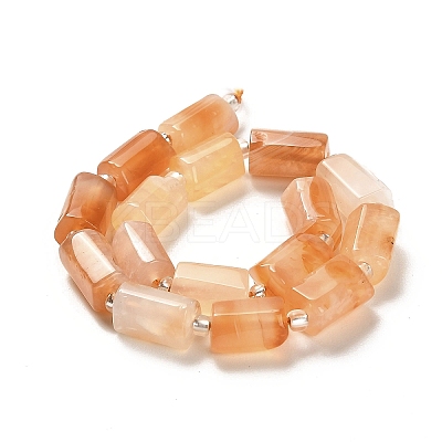 Natural Orange Botswana Agate Beads Strands G-N327-06-31-1