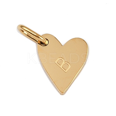 304 Stainless Steel Charms LS-STAS-L291-01G-B-1