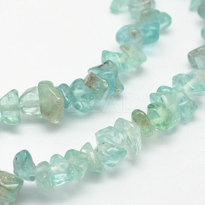 Chips Natural Apatite Beads Strands X-G-N0164-44-1