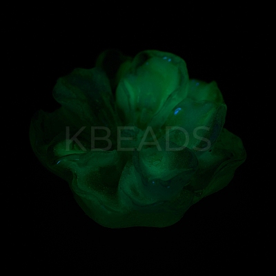 Luminous Resin Cabochons RESI-E033-02B-1