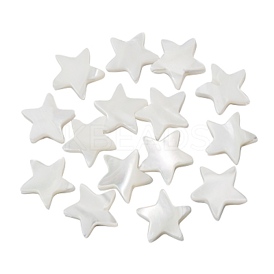 Natural Trochid Shell/Trochus Shell Beads SHEL-CJ0001-20-1