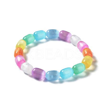 Dyed Natural Selenite Column Beaded Stretch Bracelet for Women LS-BJEW-I312-03-1