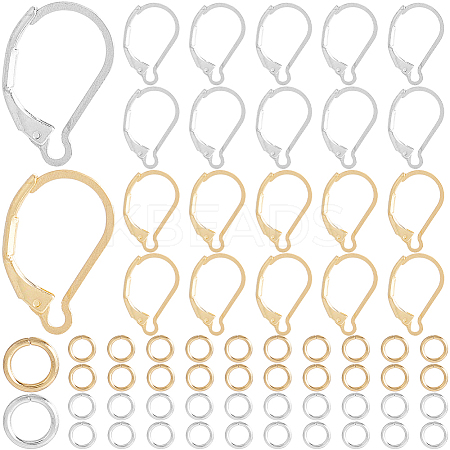 80Pcs 2 Color 304 Stainless Steel Leverback Earring Findings STAS-SP0001-19-1