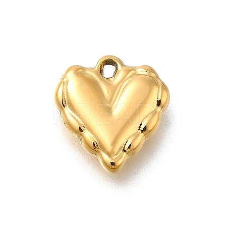 304 Stainless Steel Charms STAS-R159-40G-01-1