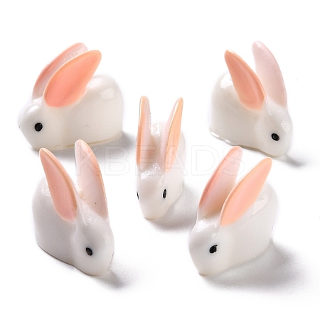 Rabbit Plastic Display Ornaments DJEW-C004-02-1