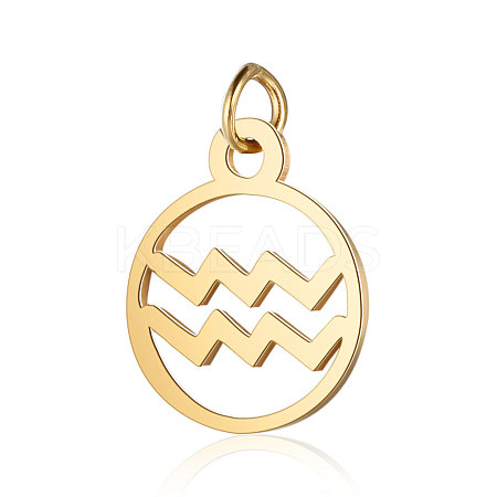 201 Stainless Steel Charms STAS-T036-T513-11-1