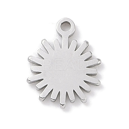 Non-Tarnish 304 Stainless Steel Charms STAS-K286-01H-P-1
