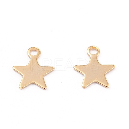 201 Stainless Steel Charms LS-X-STAS-B001-14A-G-1