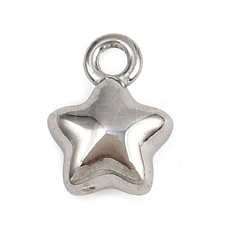 304 Stainless Steel Charms STAS-C140-01H-P-1
