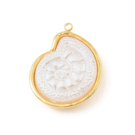 304 Stainless Steel with Acrylic Pendants STAS-Z199-11G-01-1