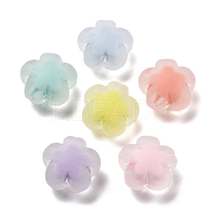 Frosted Transparent Acrylic Beads OACR-A032-25-1