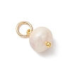 6Pcs 2 Colors Natural Freshwater Pearl Potato Charms with 304 Stainless Steel Findings PALLOY-JF04943-4