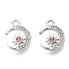 Alloy Pendants PALLOY-N170-001P-NR-2