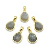 Natural Labradorite Pendants G-O176J-07G-1