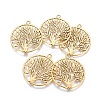 Tibetan Style Zinc Alloy Pendants TIBEP-EA11591YKG-AG-FF-1