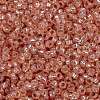 MIYUKI Round Rocailles Beads SEED-X0056-RR0642-3