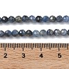 Natural Kyanite/Cyanite/Disthene Beads Strands G-L651-C02-4mm-5