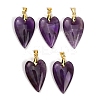 Natural Amethyst Pendants X-G-E570-01G-05-1