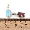 Alloy Enamel Charms FIND-Z106-01AS-03-3