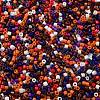 Baking Paint Glass Seed Beads SEED-S042-05B-49-3