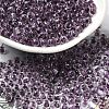 Transparent Glass Round Seed Beads SEED-B001-05A-25-1