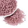 FGB Frosted Transparent Glass Seed Beads SEED-N013-02A-06-1