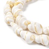 Natural Shell Beads Strands BSHE-D020-01-3
