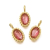 304 Stainless Steel Micro Pave Cubic Zirconia Charms STAS-U027-02G-05-1