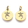 304 Stainless Steel Charms STAS-Q201-T446G-01-1