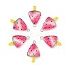 10Pcs Transparent Resin Pendants RESI-YW0005-12-2