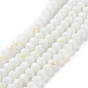 Electroplate Opaque Solid Color Glass Beads Strands EGLA-A034-P1mm-L17-1