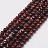 Natural Tiger Eye Bead Strands G-P230-14-6mm-1