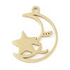 Ion Plating(IP) 304 Stainless Steel Pendants STAS-P366-76G-1