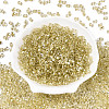 Baking Paint Transparent Glass Seed Beads SEED-N006-05B-2