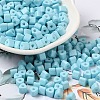 Baking Paint Glass Bead SEED-H002-K-D322-1