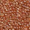 TOHO 8/0 Round Beads X-SEED-TR08-0103C-1